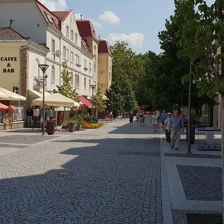 Rozsa Apartman