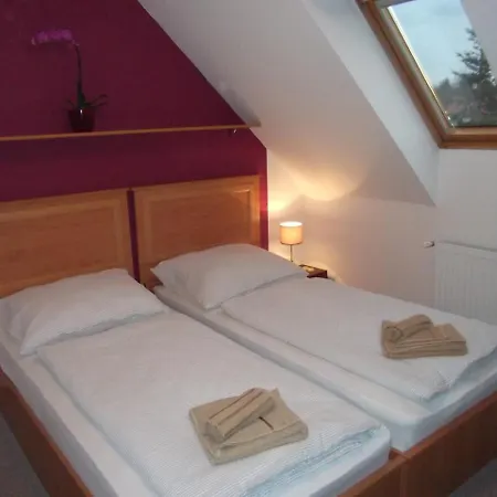 酒店 Rozsa Apartman *