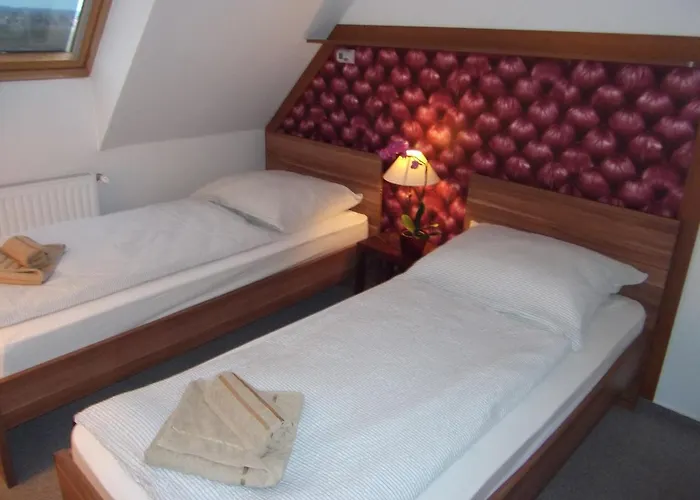 Rozsa Apartman *